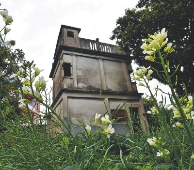 當年的建在村南口龍眼密林中的堞樓，系當年用于防匪患的。