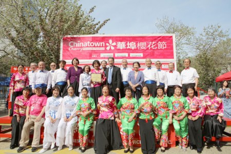 第七屆“華埠櫻花節(jié)”29日熱鬧舉行。(美國《世界日報》)