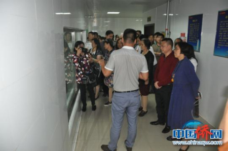 圖為僑商在雙匯集團(tuán)考察。林浩 攝