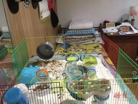 范洋浦家中“小實驗室”照片。(范洋浦家屬提供)