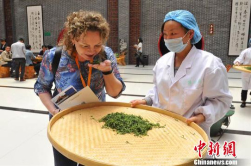 海外客商品嘗五峰茶葉?！＄娦?攝