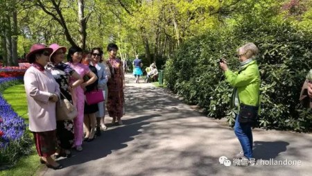 （一網(wǎng)荷蘭微信公眾號圖片）