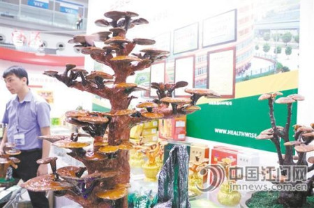 開平健之源保健食品有限公司是國家現(xiàn)代農(nóng)業(yè)示范基地，拳頭產(chǎn)品為有機(jī)鮮靈芝、靈芝蒜顆粒等。