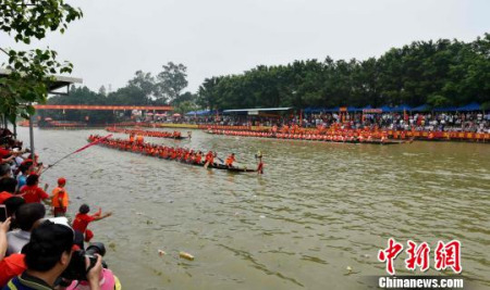 資料圖：2016年6月在牛勒河舉辦廣東省第一屆傳統(tǒng)龍舟爭霸賽。圖為比賽現(xiàn)場。（圖片來源：中國新聞網(wǎng)）