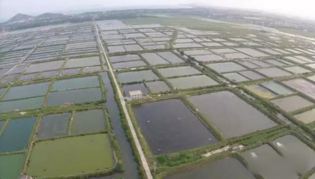 萬寧和樂蟹養(yǎng)殖基地航拍資料圖。