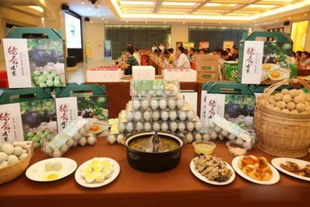 特產(chǎn)綠殼雞蛋。