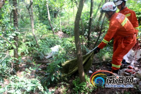 文昌消防官兵將大蟒蛇放歸郊外樹林。通訊員任榮飛攝