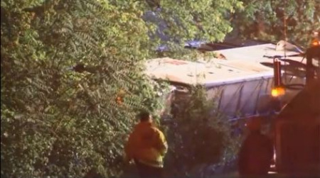 （美國中文網(wǎng)）