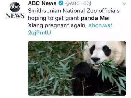 美國廣播公司推特頁面截圖 美國廣播公司推特頁面截圖