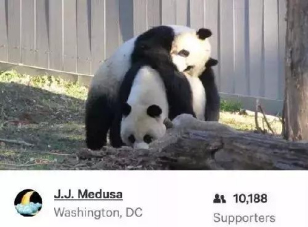 請愿頁面截圖 請愿頁面截圖