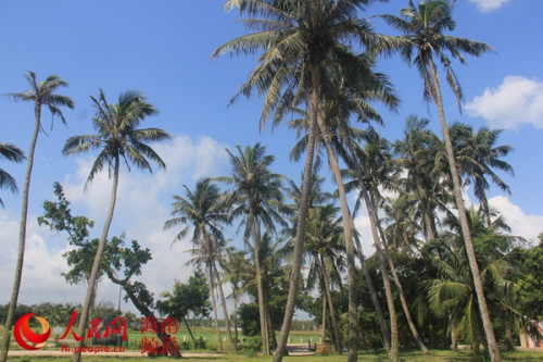 白土村村貌。