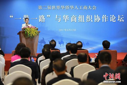 資料圖：6月12日，第二屆世界華僑華人工商大會“一帶一路”與華商組織協(xié)作論壇在北京舉行。<a target='_blank' >中新社</a>記者 崔楠 攝