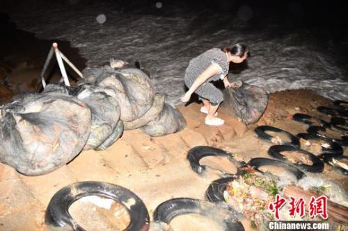 深圳南澳漁民應(yīng)戰(zhàn)臺(tái)風(fēng)“苗柏”來襲 陳文 攝