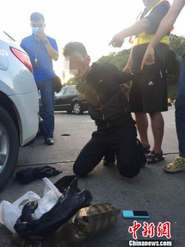 粵港澳警方聯(lián)打跨境涉毒涉黑犯罪，兩天破刑案300余起 警方供圖