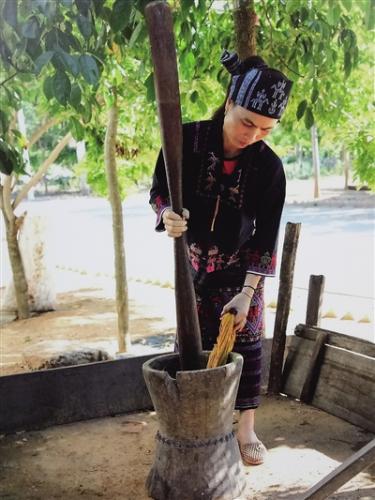 符林早在制作黎錦的植物染料。 羅安明 翻拍