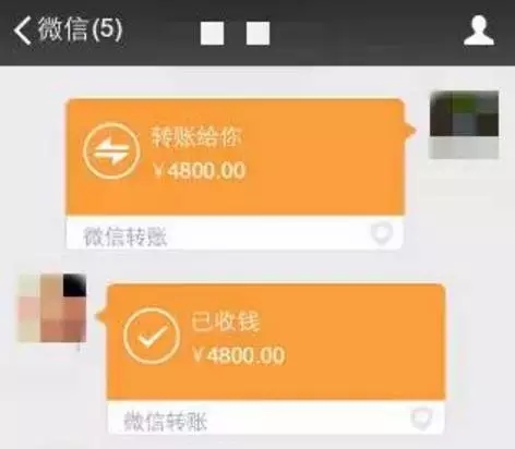 圖片來源：新西蘭天維網(wǎng)