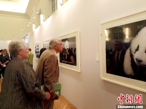 圖為德國(guó)觀眾在參觀7月5日開(kāi)幕的由中華人民共和國(guó)國(guó)務(wù)院新聞辦公室、中華人民共和國(guó)駐德意志聯(lián)邦共和國(guó)大使館主辦，四川省林業(yè)廳、成都市人民政府共同承辦的“熊貓與世界—中國(guó)大熊貓保護(hù)文化藝術(shù)成就展”。 <a target='_blank' >中新社</a>記者 鐘欣 攝