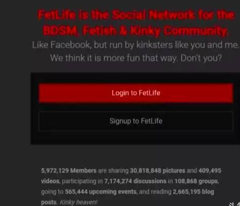 FetLife網站截圖 (圖源：中國青年網)