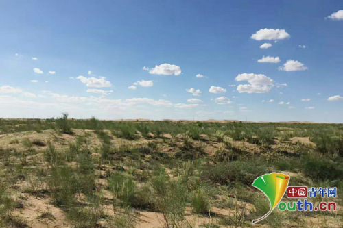 如今的阿拉善盟騰格里沙漠東緣換上了綠裝。受訪者供圖