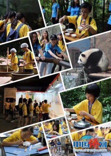 營員們在活動中。　四川省僑聯(lián)提供 攝