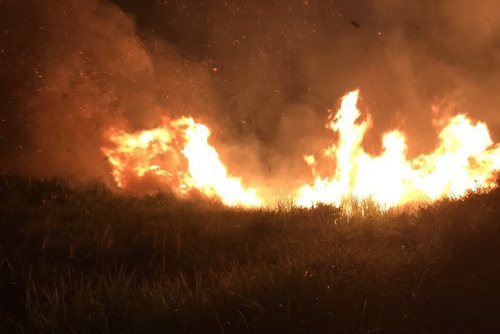 陳大媽放火求救，結(jié)果釀成山林大火