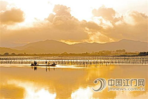 紅樹林日出景觀。 馮文鋒 攝