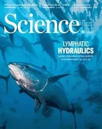 最新一期《科學(xué)》封面