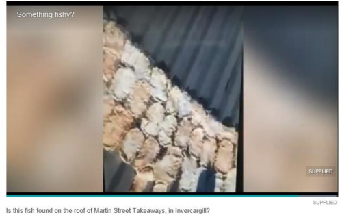 (新西蘭天維網(wǎng)) (新西蘭天維網(wǎng))