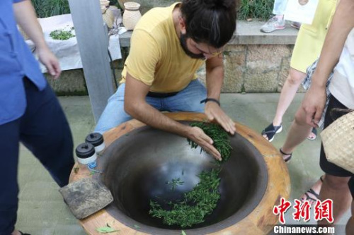 圖為：德國(guó)漢諾威孔子學(xué)院學(xué)生體驗(yàn)炒茶?！⊥鯙t婧 攝