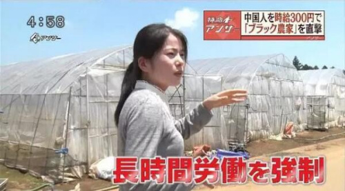 日本關(guān)于研修生境況的電視節(jié)目截屏