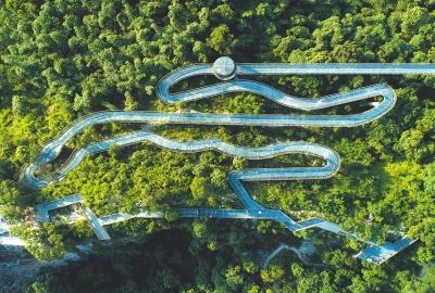 城市森林步道，金牛山福道。林熙 攝