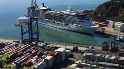 (新西蘭天維網(wǎng)) (新西蘭天維網(wǎng))