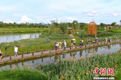 海外華文媒體代表走進(jìn)那考河濕地公園?！∮峋?攝