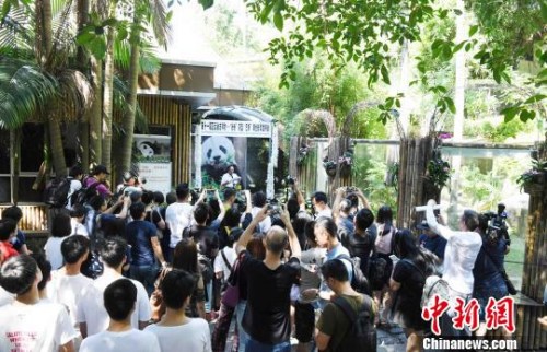 9月14日，海峽(福州)大熊貓研究交流中心對外公布大熊貓明星——“巴斯”，因病于9月13日上午8時50分在福州辭逝，走完傳奇一生，享年37歲?！⒖筛?攝