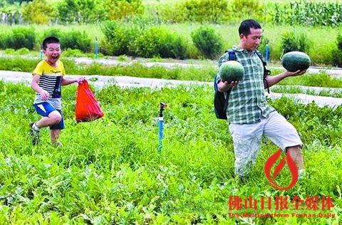 勁農(nóng)現(xiàn)代都市農(nóng)業(yè)園中，市民體驗(yàn)生態(tài)旅游農(nóng)業(yè)。