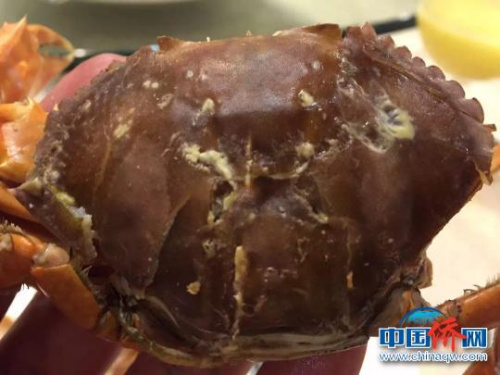 重皮蟹　李曉春　攝