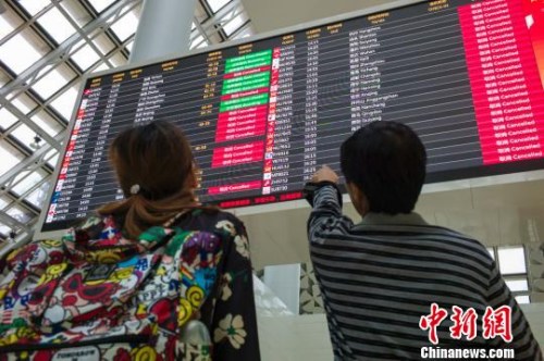 圖為兩位旅客在?？诿捞m國際機場查看航班信息，電子顯示屏上大部分航班已經(jīng)被取消?！●樤骑w 攝