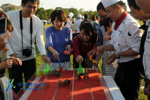 游客互動開始螃蟹賽跑 游客互動開始螃蟹賽跑
