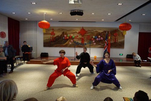 中國(guó)功夫表演。