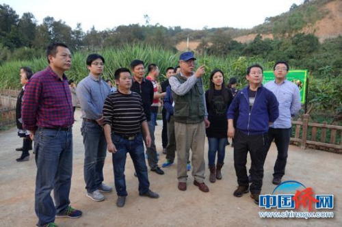 服務(wù)團在黔西南州望謨縣熱作產(chǎn)業(yè)良種繁育科技示范園調(diào)研?！∪轿木辍z