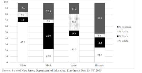 各族裔學(xué)生聚集情形。左至右為白仁、非洲裔、亞裔、西語裔。白色為白人、黑色為非洲裔、黑點(diǎn)為亞裔、灰色為西語裔。（圖片均取自報(bào)告）