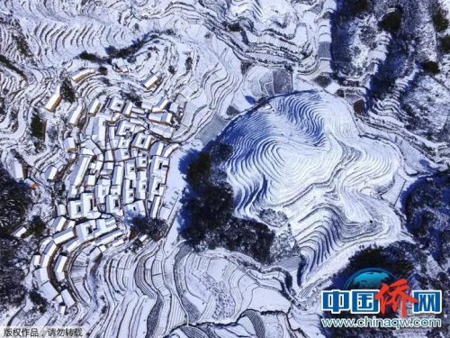 “相機攝”浙江松陽。