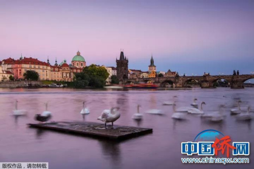 “相機攝”捷克布拉格伏爾塔瓦河畔。