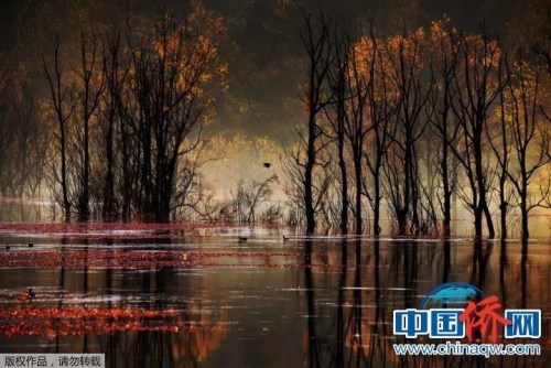 “相機攝”拍攝于四川白玉亞青寺。