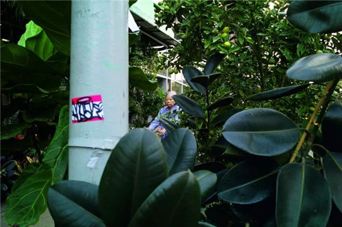 在二戰(zhàn)前后，唐人街上的男女比例曾高達(dá)100: 1，是典型的光棍聚集地，隨著《戰(zhàn)時新娘法案》的推行，女性才逐漸多了起來。這位老太太，不知在唐人街有著怎樣的過去。