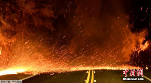 大火發(fā)生地圣保拉市有800多所住房的居民被強制疏散，疏散地位于文圖拉市的一所高中。圖為山火越過公路持續(xù)蔓延。