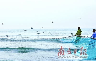 目前，潮州近岸海域水質(zhì)狀況總體良好。圖為饒平大埕灣，海面上海鳥紛飛。黃慶明 攝