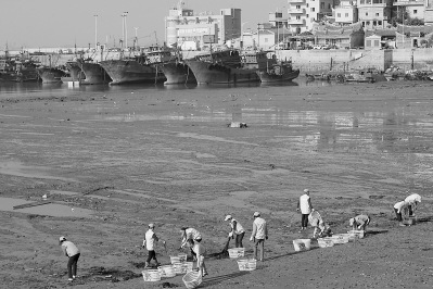蔡加漸給沉重的廢棄輪胎系上繩索，準(zhǔn)備用吊車拖上岸。