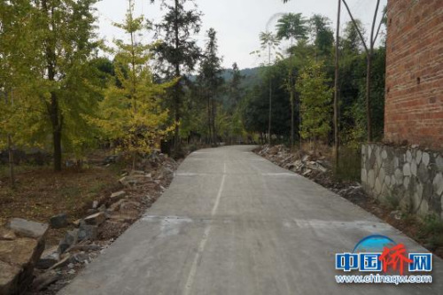 圖為新修的的水泥路?！⊥鮼問| 攝