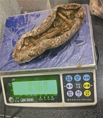 圖為截獲的大海參 圖為截獲的大海參